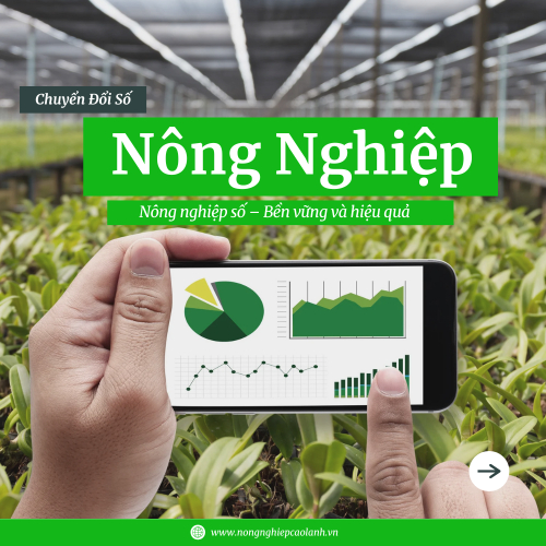 Chuyển Đổi Số Trong Nông Nghiệp: Giúp Nông Dân Canh Tác Hiệu Quả Hơn